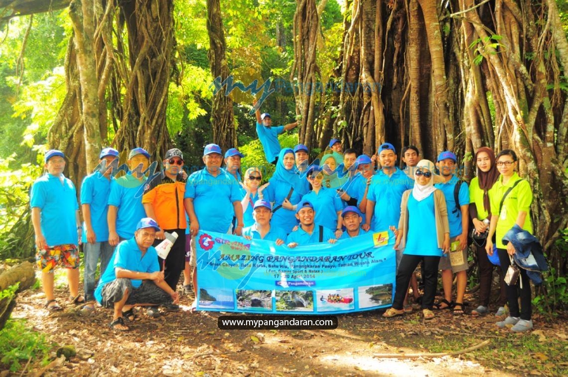 PT. PLN (Persero)
