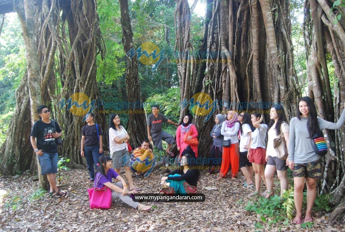 PT. Unilever Indonesia